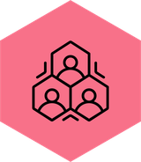 Project team